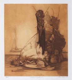 Fossils Series Carboniferous