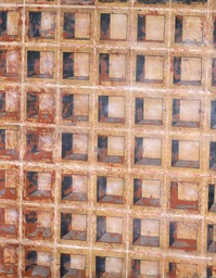 Fossils Series Carboniferous